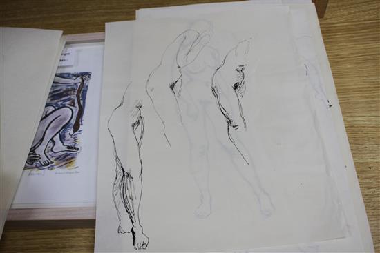 Peter Collins, twelve pen and ink on paper, Studies of female nudes, largest 35 x 25cm, unframed